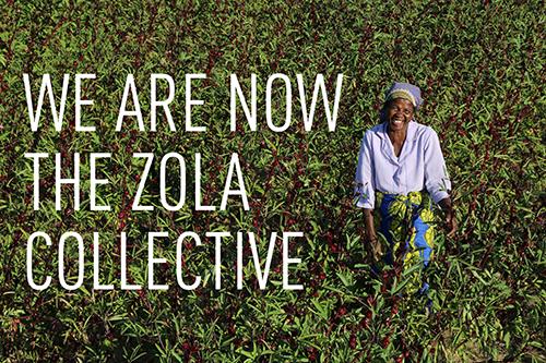 The Zola Collective: new logo, more products, same vision