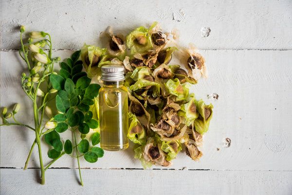 Moringa Oil Benefits for Skin and Hair