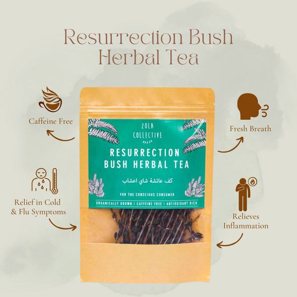 Resurrection Bush Herbal Tea